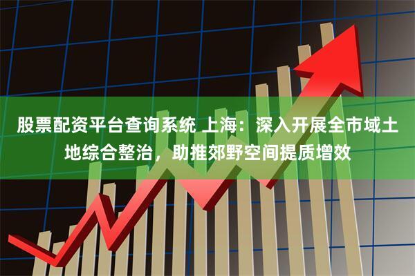 股票配资平台查询系统 上海：深入开展全市域土地综合整治，助推郊野空间提质增效