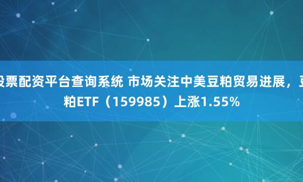 股票配资平台查询系统 市场关注中美豆粕贸易进展，豆粕ETF（159985）上涨1.55%